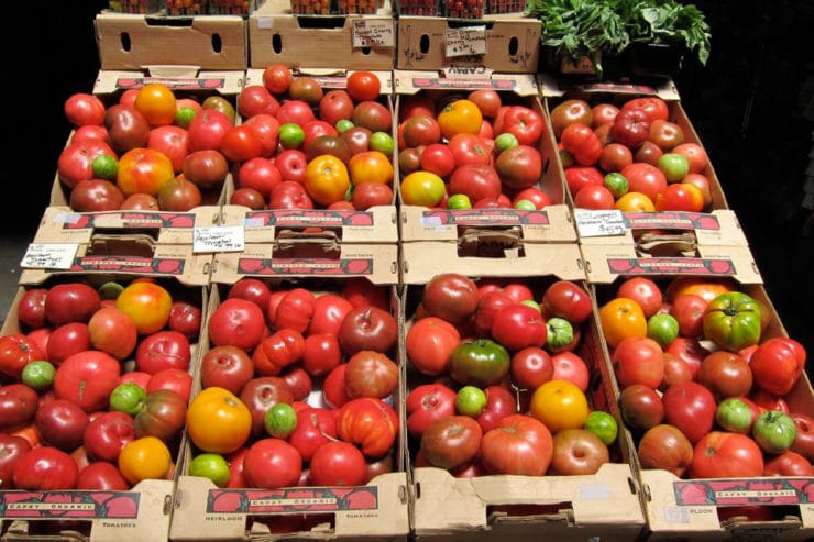 Crates of fresh ripe heirloom tomatoes.