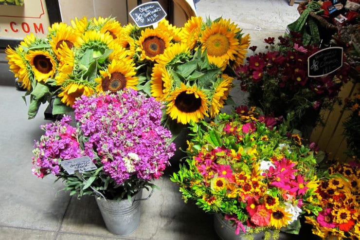 Fresh organic sunflowers, pink flowers, and colorful bouquets in metal containers on the ground.