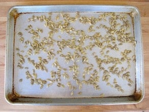 Toasted butternut squash seeds on sheet.