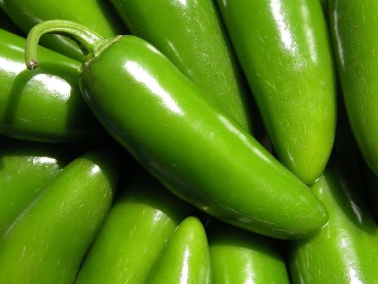 Pile of fresh jalapeños lit by the sun.