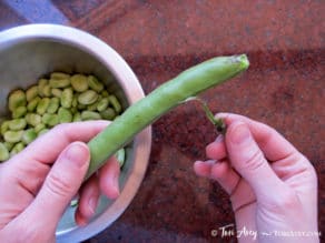 All About Fava Beans: How to Cook, Soak, Peel and Freeze - Learn how to cook all varieties of fava beans to prepare them for use in recipes. Includes storage and freezing techniques.