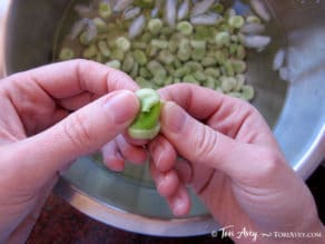 All About Fava Beans: How to Cook, Soak, Peel and Freeze - Learn how to cook all varieties of fava beans to prepare them for use in recipes. Includes storage and freezing techniques.