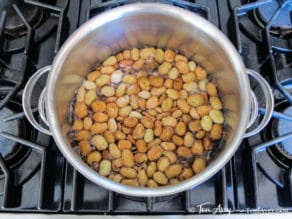 All About Fava Beans: How to Cook, Soak, Peel and Freeze - Learn how to cook all varieties of fava beans to prepare them for use in recipes. Includes storage and freezing techniques.