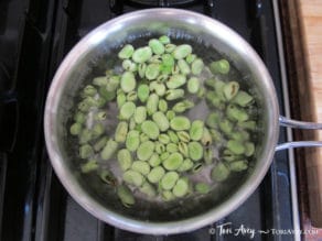 All About Fava Beans: How to Cook, Soak, Peel and Freeze - Learn how to cook all varieties of fava beans to prepare them for use in recipes. Includes storage and freezing techniques.