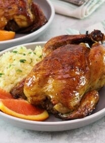 Horizontal shot of a plate containing a citrus marinated game hen on a bed of rice, garnished with fresh orange slices.