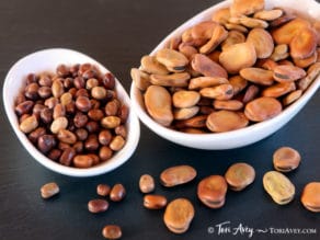 All About Fava Beans: How to Cook, Soak, Peel and Freeze - Learn how to cook all varieties of fava beans to prepare them for use in recipes. Includes storage and freezing techniques.