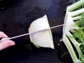 Slicing fennel bulb.