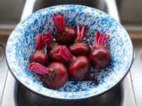 Clean scrubbed beets in blue speckled colander in stainless steel sink.