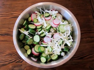 Vegetables in a mixing bowl for salad.