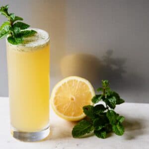 Horizontal shot of lemon cocktail in a tall glass, garnished with a sprig of fresh mint. A sliced lemon and another sprig of mint sit off to the right side.