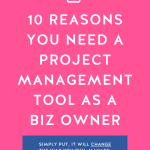 Hot pink background with the words "10 Reasons You Need a Project Management Tool as a Biz Owner" in bold white letters