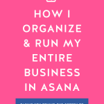 Hot pink background with How I Organize & Run My Entire Business in Asana in bold white letters