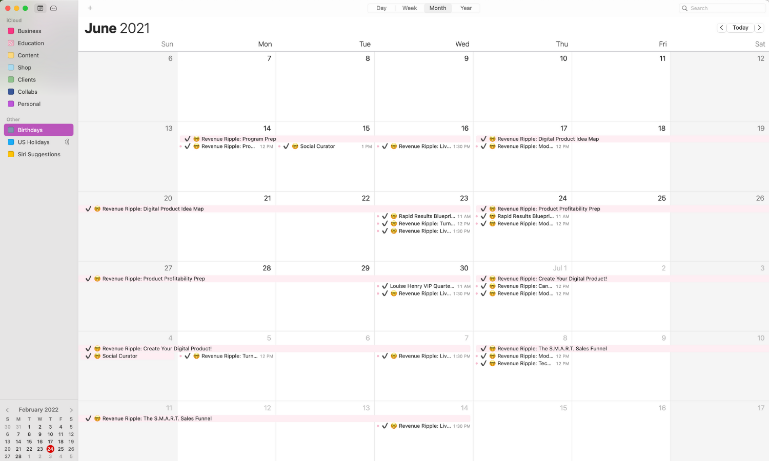 screenshot of my digital calendar with the LIVE round of Revenue Ripple scheduled out